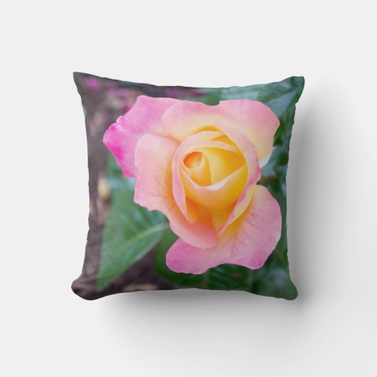 ローズブドグロー クッション (正面)