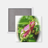 ローズブド磁石 マグネット (正面/裏面)