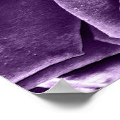 ローズブーケ（紫） ポスター (角)