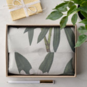 ローズベイロードデンドンバイマリーブヴォーウォルコット 薄葉紙 (ギフト)