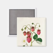 ローズベリーイチゴ、ワッテ彫り マグネット (正面/裏面)