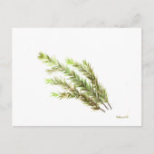 ローズマリーの植物を描いたキッチンアート 水彩画 ポストカード (正面)