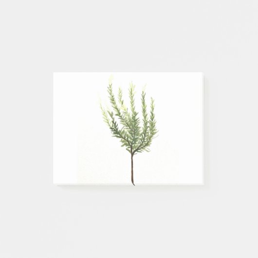 ローズマリーの植物 ヴィンテージ ガーデン 水彩画 ポストイット (正面)