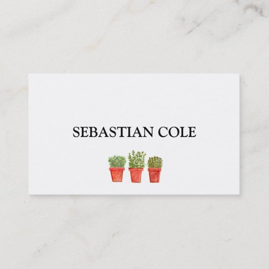 ローズマリーティメセージハーブ料理シェフポット 名刺 (裏面)