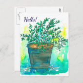ローズマリーハーブウォーター色こんにちは ポストカード (正面/裏面)