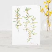 ローズマリーハーブ植物性スケッチ空白のノートカード カード (黄色い花)