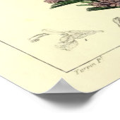 ローズマリープラントプリント ポスター (角)