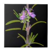 ローズマリー開花 タイル (正面)