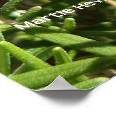 ローズマリー ポスター (角)