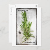 ローズマリー ポストカード (正面/裏面)
