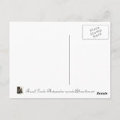 ローズマンブリッジウィンターセット、アイオワ ポストカード (裏面)