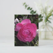 ローズレッド… ポストカード (スタンド正面)