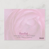 ローズレッド… ポストカード (裏面)