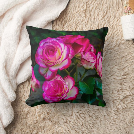 ローズ赤と白ブズ クッション (ブランケット)