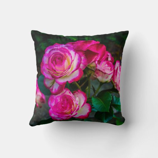 ローズ赤と白ブズ クッション (裏面)