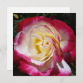 ローズ メッセージ カード (正面/裏面)