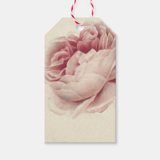 ローズ・ルース (1792) – 時を超えるヴィンテージ植物画アート ギフトタグ (正面)