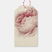 ローズ・ルース (1792) – 時を超えるヴィンテージ植物画アート ギフトタグ (裏面)