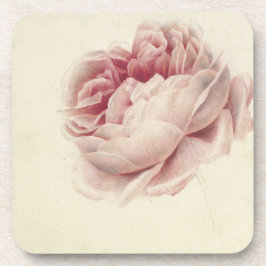 ローズ・ルース (1792) – 時を超えるヴィンテージ植物画アート コースター