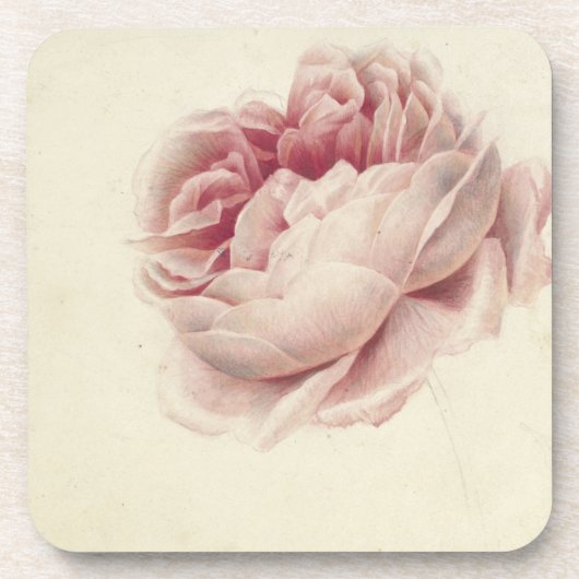 ローズ・ルース (1792) – 時を超えるヴィンテージ植物画アート コースター (正面)