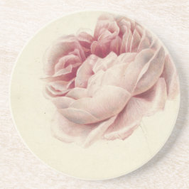 ローズ・ルース (1792) – 時を超えるヴィンテージ植物画アート コースター