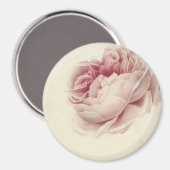 ローズ・ルース (1792) – 時を超えるヴィンテージ植物画アート マグネット (正面/裏面)