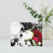 ローゼンウェスイスンドルト ポストカード (スタンド正面)