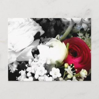 ローゼンウェスイスンドルト ポストカード