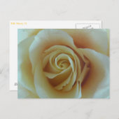 ローゼントラウム ポストカード (正面/裏面)