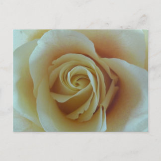 ローゼントラウム ポストカード