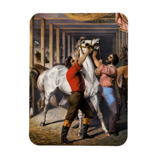 ローゼンバーグ素晴らしの東インド馬の招待者。 マグネット (縦)