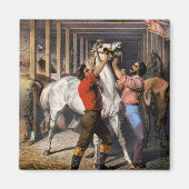 ローゼンバーグ素晴らしの東インド馬の招待者。 マグネット (正面)