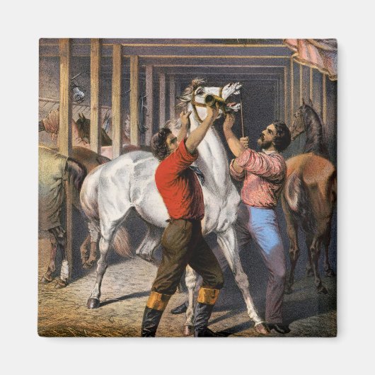 ローゼンバーグ素晴らしの東インド馬の招待者。 マグネット (正面)