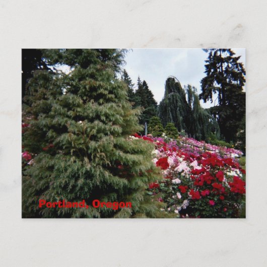 ローゼーランドスケープポートランド(オレゴン) ポストカード (正面)