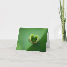 ロータスすべての行事ノテカード サンキューカード