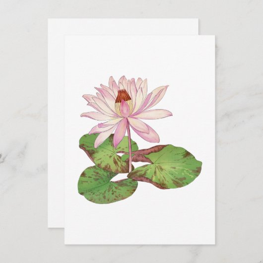 ロータスイラストレーションヴィンテージ日本の浮世絵 ノートカード (正面/裏面)