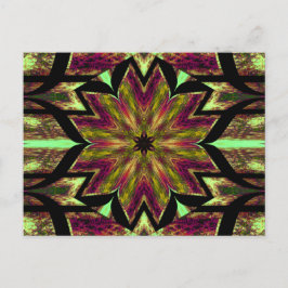 ロータスイングロー11 ポストカード