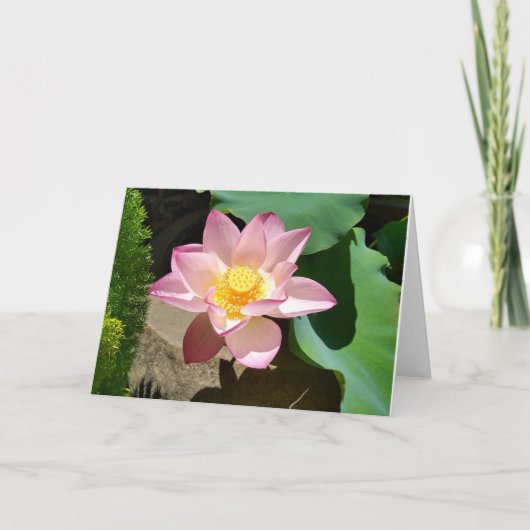 ロータスカード サンキューカード (正面)