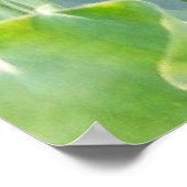 ロータスサマーパステルピンク水中競技多年生植物 ポスター (角)