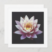 ロータスフラットカード (正面/裏面)