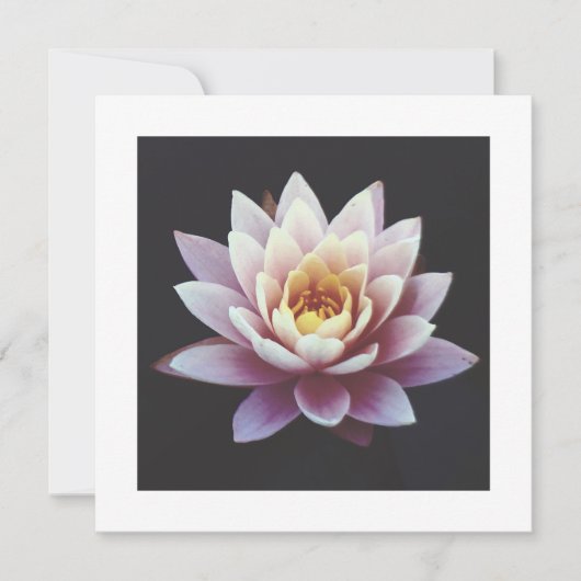 ロータスフラットカード (正面)