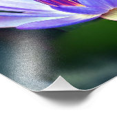 ロータスフラワーフォトプリント フォトプリント            (角)