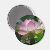 ロータスフラワーマグネット マグネット (正面/裏面)