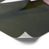 ロータスフラワー/《植物》スイレン ポスター (角)