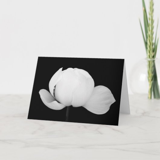 ロータスブド カード (正面)