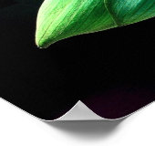 ロータスブド ポスター (角)