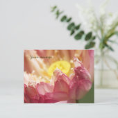 ロータスポストカード ポストカード (スタンド正面)