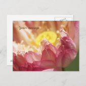 ロータスポストカード ポストカード (正面/裏面)