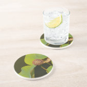 ロータスポッドとライリーパッド コースター (側面)