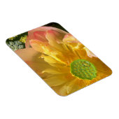 ロータスマグネットを開く マグネット (右側)